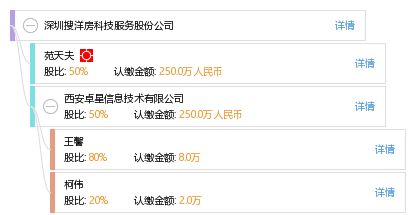 深圳搜洋房科技服務股份公司工商信息、信用報告、財務報表及聯系方式全解析