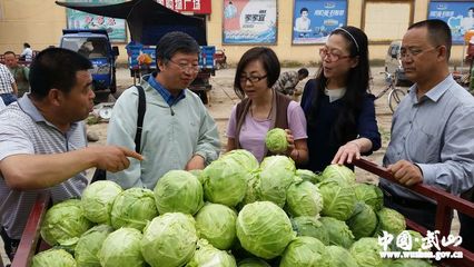 中國農(nóng)副土特產(chǎn)品開發(fā)公司董事長在武山調研(圖)
