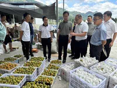 黔南州社:州政協(xié)調研全州推進供銷系統(tǒng)基層社恢復重建工作