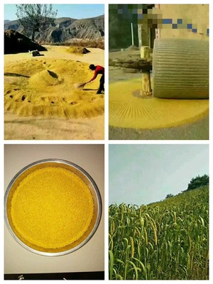 你好 首先我們這農(nóng)副土特產(chǎn)品比較多 要怎么運營?