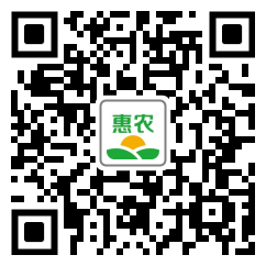 [苦參 貴州農(nóng)副土特產(chǎn)品非種植無硫中藥材苦參干貨產(chǎn)地直發(fā)一手貨源價格10斤