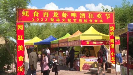 蒼嶺鎮(zhèn)火把節(jié)系列活動開幕 體驗愜意田園生活