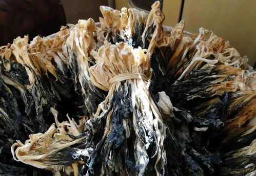 秋冬季節(jié),臺山這兩種食材開始上市,煲湯味道一流