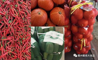 僅限1天 免費美食專享 打卡全網(wǎng)最熱門蔬菜 衢江東方廣場2019新型城市菜園大曝光