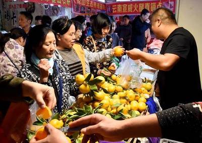 喜迎農(nóng)民豐收節(jié),百家農(nóng)產(chǎn)品、服裝服飾廠(chǎng)商齊聚卓刀泉古玩城