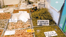 會(huì)展中心展銷會(huì)明天開始 免費(fèi)公交站點(diǎn)快記好 10元 20元 30元代金券免費(fèi)送