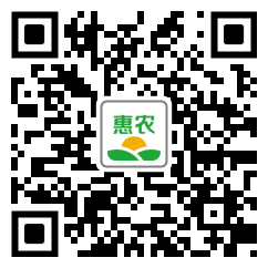 [豬腸 豬小腸價(jià)格10個(gè)