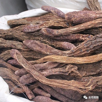 第八屆金塔胡楊文化旅游節(jié)旅游商品紀(jì)念品展評(píng)活動(dòng)方案出爐,拿走不謝!