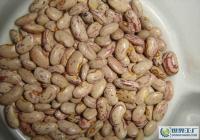 阿榮旗那吉鎮(zhèn)忠山農(nóng)副土特畜產(chǎn)品收購(gòu)部_世界工廠網(wǎng)全球企業(yè)庫