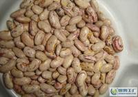 阿榮旗那吉鎮(zhèn)忠山農(nóng)副土特畜產(chǎn)品收購部_世界工廠網(wǎng)全球企業(yè)庫