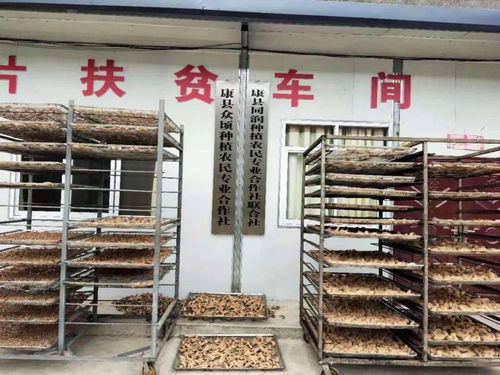 同潤(rùn)種植農(nóng)民專業(yè)合作社聯(lián)合社 抱團(tuán)發(fā)展,促農(nóng)增收