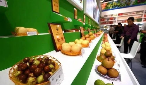 3月17日至19日,我們相約祁陽首屆油菜花節(jié)暨農(nóng)副產(chǎn)品交易會(huì)